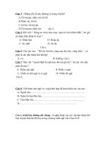 đề + đáp án ngữ văn 6