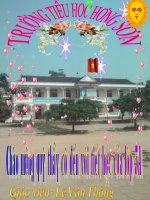 TAC DONG CUA CON NGUOI DEN MOI TRUONG RUNG