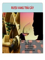 Bài thuyết trình rượu vang trái cây