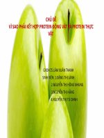 vì sao phải kết hợp protein động vật và protein thực vật