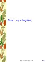 Bài giảng sữa mẹ, nuôi con bằng sữa mẹ