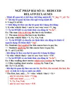 NGỮ PHÁP BÀI 11  LỚP 11(DỄ HIỂU)