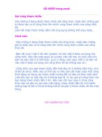 KHẮC PHỤC LỖI # REF TRONG EXCEL