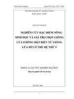 Nghiên cứu đặc điểm nông sinh học và giá trị chọn giống của 8 dòng đột biến từ giống lúa HT1 ở thế hệ thứ 5