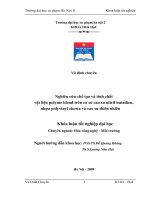 Nghiên cứu chế tạo và tính chất vật liệu polyme blend trên cơ sở cao su thiên nhiên 