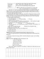 DE THI HSG T/VIỆT LỚP 4