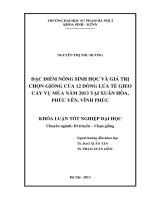 Đặc điểm nông sinh học và giá trị chọn giống của 12 dòng lúa tẻ gieo cấy vụ mùa năm 2013 tại xuân hoà, phúc yên, vĩnh phúc 