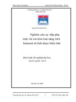 Nghiên cứu sự hấp phụ một vài ion kim loại nặng trên bentonit di linh được biến tính 