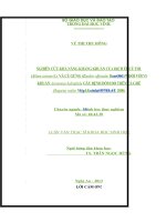 Nghiên cứu khả năng kháng khuẩn của dịch ép củ tỏi (Allium sativum L) và củ gừng (Zinziber officinale Rosc) đối với vi khuẩn aeromonas hydrophyla gây bệnh đốm đỏ trên cá ghé (bagarius rutilus NgKottelat, 2000)