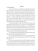 Nghiên cứu hệ tự nén xung bằng hệ liên kết phi tuyến và sợi quang khuếch đại Raman