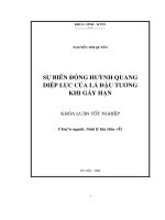 Sự biến động huỳnh quang diệp lục của lá đậu tương khi gây hạn 