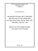 Thành phần sâu hại chè và diễn biến một số loài gây hại chính trên cây chè tại xã ngọc thanh   phúc yên   vĩnh phúc năm 2013   2014 