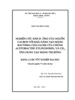 Nghiên cứu ảnh hưởng của nguồn cacbon tới khả năng tạo màng bacteria cellulose của chủng acetobacter xylinum BHN2 và CH14 ứng dụng tạo màng trị bỏng
