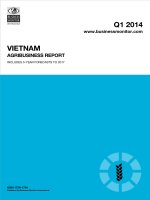 Vietnam agribusiness report   q1 2014 