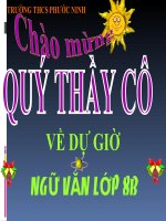 THÔNG TIN VỀ NGÀY TRÁI ĐẤT NĂM 2000