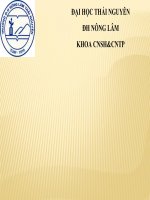 thảo luận về 1 số chất phụ gia thực phẩm được dùng trong sản xuất bia và nước giải khát