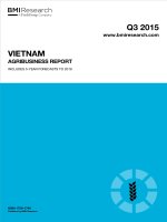 Vietnam agribusiness report   q3 2015 