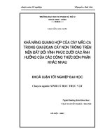 Khả năng quang hợp của cây mắc   ca trong giao đoạn cây non trồng trên nền đất đồi vĩnh phúc dưới các ảnh hưởng của các công thức bón phân khác nhau