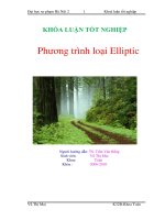 Phương trình loại elliptic 