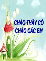 Tiết 61: Thuyết minh về một thể loại văn học
