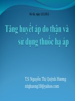 Bài giảng tăng huyết áp do thận và sử dụng thuốc hạ áp