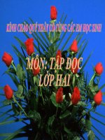 Cây dừa  Tuần 28