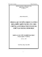 Phân lập, tuyển chọn và tối ưu hóa điều kiện nuôi cấy cho chủng acetobacter xylinum, chế tạo màng sinh học 