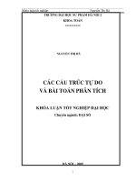 Các cấu trúc tự do và bài toán phân tích 