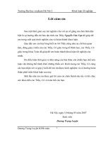 Ứng dụng định hướng trong hình học phẳng 