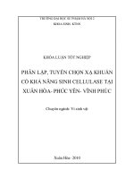Phân lập, tuyển chọn xạ khuẩn khả năng sinh cellulase từ đất tại xuân hoà   phúc yên   vĩnh phúc 