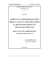 Nghiên cứu sự biến đổi hàm lượng prolin và áp suất thẩm thấu trong lá một số giống khoa tây khi gây hạn nhân tạo 