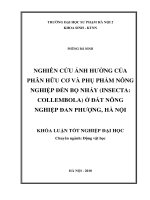 Nghiên cứu ảnh hưởng của phân hữu cơ và phụ phẩm nông nghiệp đến bọ nhảy (insecta collembola) ở đất nông nghiệp đan phượng   hà nội
