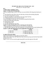 Đề thi lịch sử học kỳ 2. Năm 2010 2011