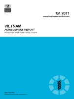 Vietnam agribusiness report   q1 2011 