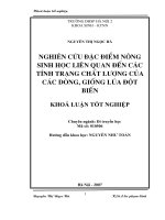 Nghiên cứu đặc điểm nông sinh học liên quan tới các tính trạng chất lượng của các dòng, giống lúa đột biến
