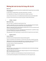 Những bài văn tả mùa hè trong vắt của bé