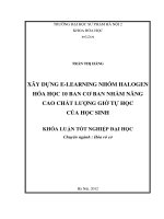Xây dựng e learing nhóm halogen hoá học 10 ban cơ bản nhằm nâng cao chất lượng giờ tự học của học sinh 