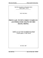 Phân lập, tuyển chọn vi khuẩn ACETOBATER XYLINUM cho màng mỏng 