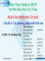 Bài thuyết trình các phương pháp tưới trên rau