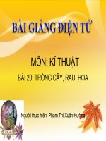 Kĩ thuật  bài 20  Trông cây, rau, hoa