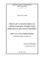 Phân lập và tuyển chọn các chủng loại nấm mốc có khả năng sinh cellulase cao ở vĩnh phúc 