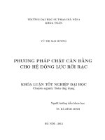 Phương pháp chặt cân bằng cho hệ động lực rời rạc 
