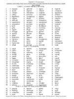 Pronunciaion Enough to use