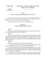 Luật bầu cử đại biểu Hội đồng nhân dân