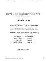 BÀI TIỂU LUẬN các sản PHẨM dầu mỏ và KHÍ dầu mỏ 