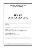 mẫu hồ sơ dự tuyển công chức