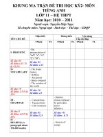 MA TRẬN VÀ ĐỀ THI HKII   LỚP 11(TL+TN)