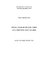 Tiếng Vinh dưới góc nhìn của phương ngữ xã hội