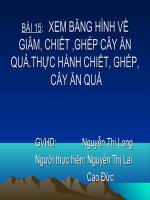 bài 10: chiếc ghép cành