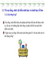 Bài thuyết trình tổng quan về sự sống và tế bào